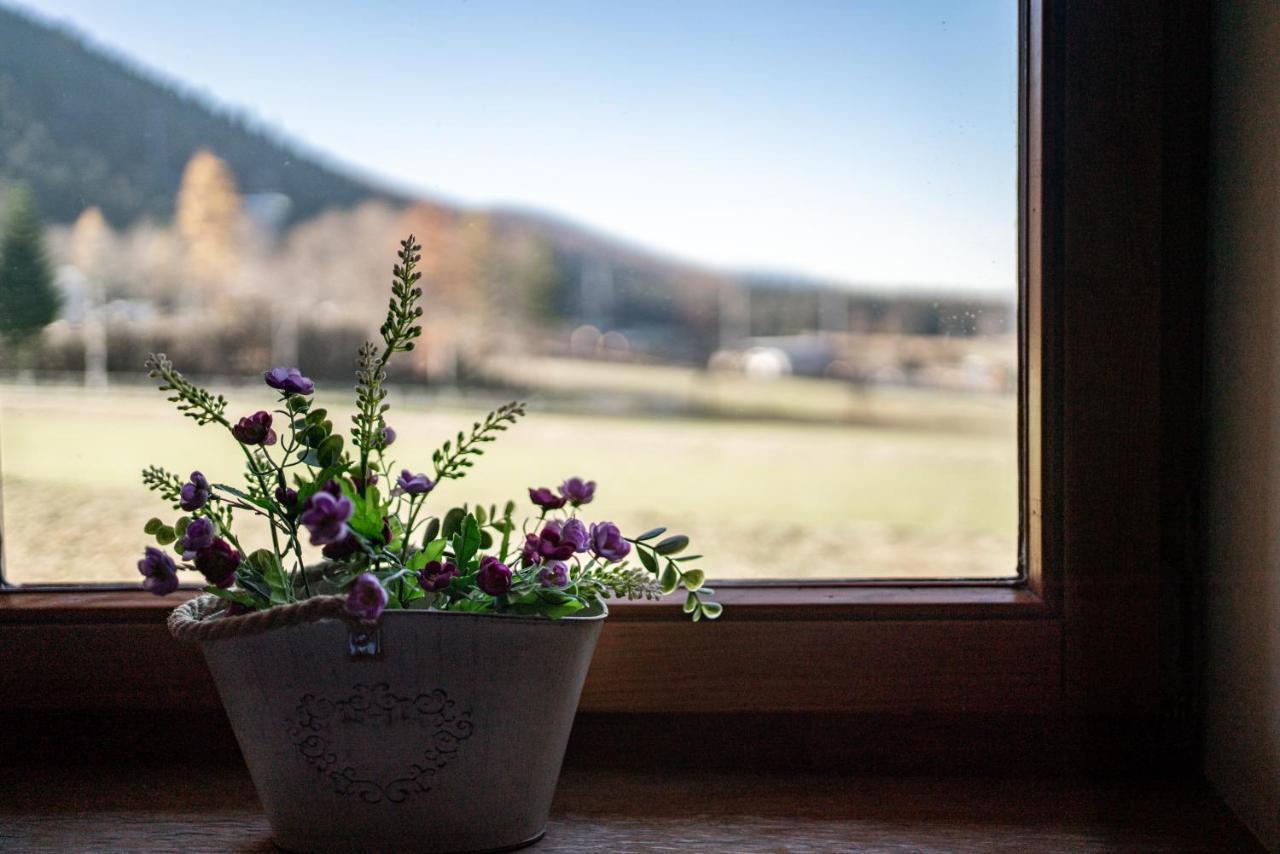 Apartamenty Bogowka 11 Zakopane Eksteriør billede